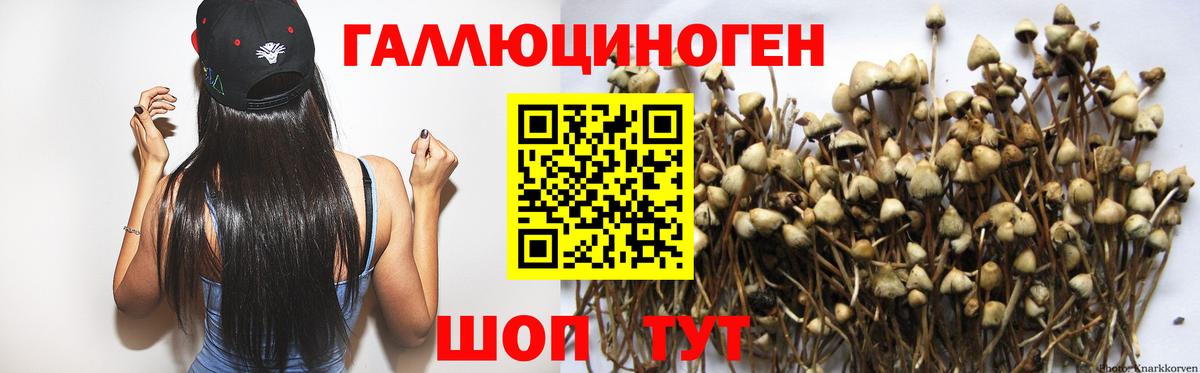 Псилоцибиновые грибы MAGIC MUSHROOMS  Вход с VPN  дарнет шоп  Назарово  Псилоцибиновые грибы Magic Shrooms 